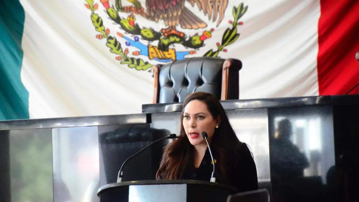 georgina zapata congreso